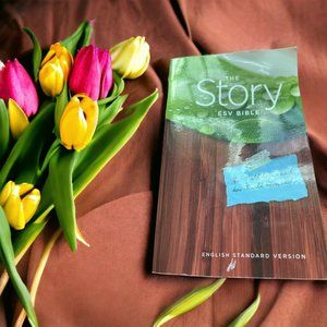 Crossway The Story ESV Bible Paperback English Standard Version Clean